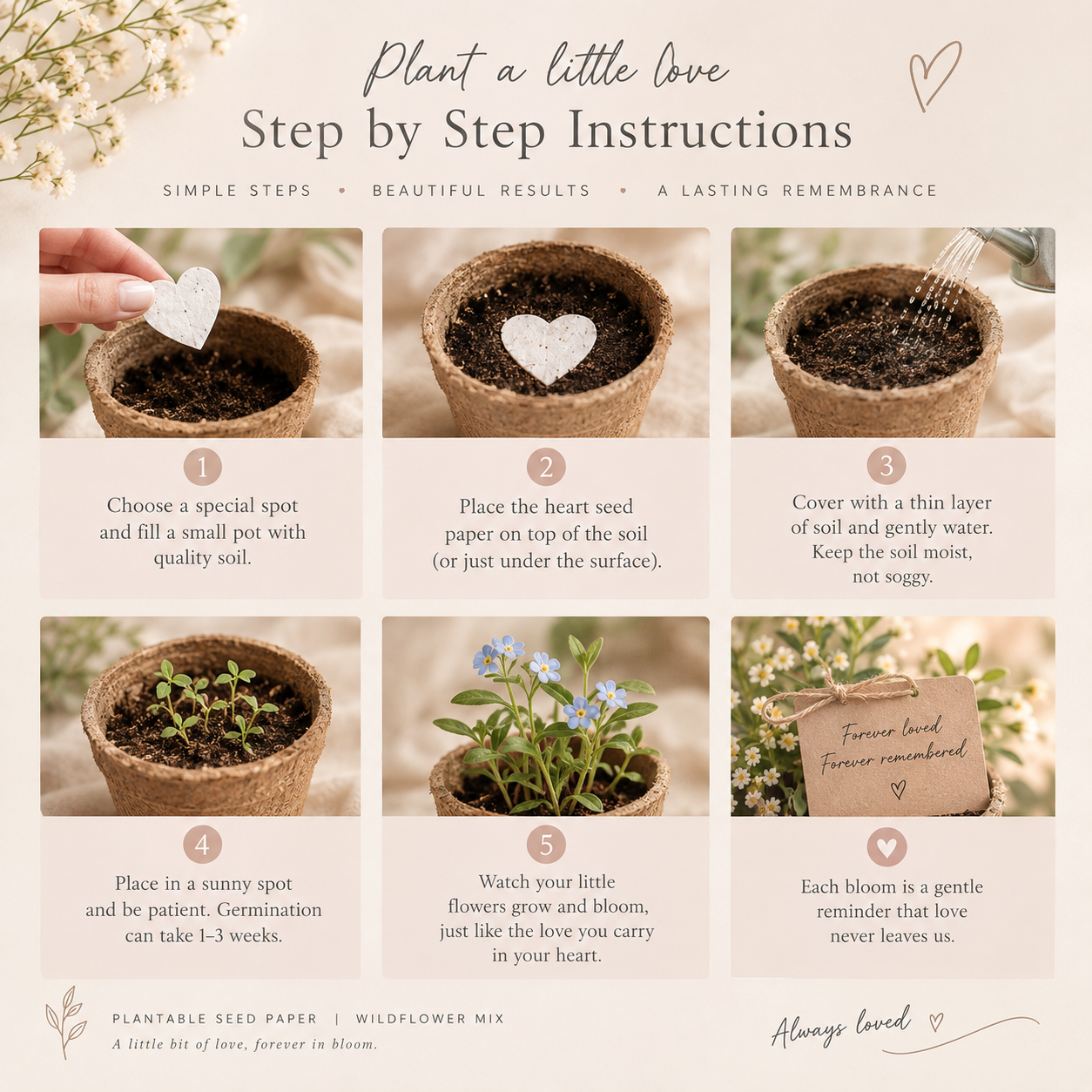 Plantable Heart Seeds