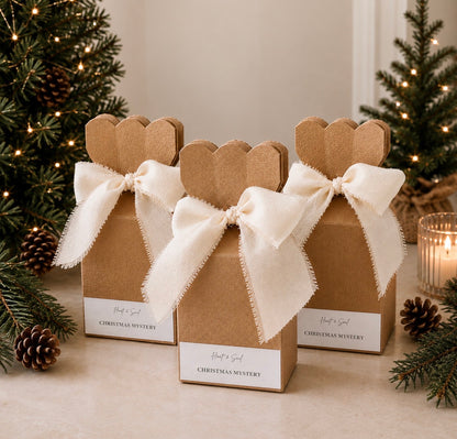 The Christmas Mystery PRE ORDER