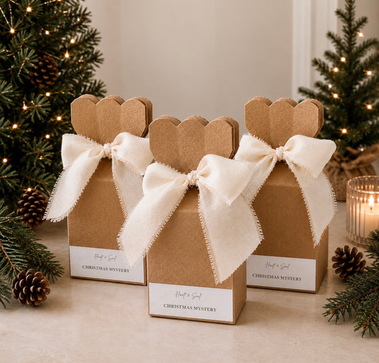 The Christmas Mystery PRE ORDER